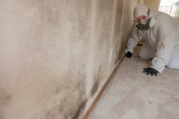 Mold Remediation for Vacation Homes in Red Oaks Mill, NY